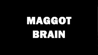Maggot Brain