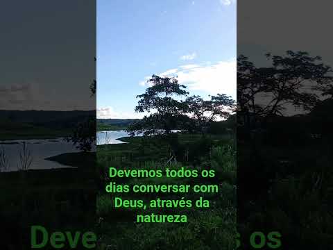 @natureza é vida em Matriz de Camaragibe, Alagoas