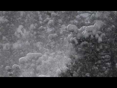 Чамайгаа оллоо - Э.Болор-Уянга