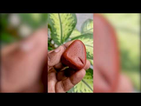 Omkar Mahadev Shiv Shila video