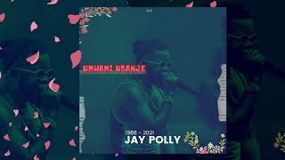 Jay Polly - Umwami Uganje (Official Audio)