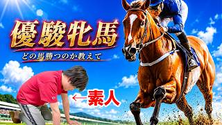 【優駿牝馬】素人の俺にどの馬が勝つか教えてください【重賞】