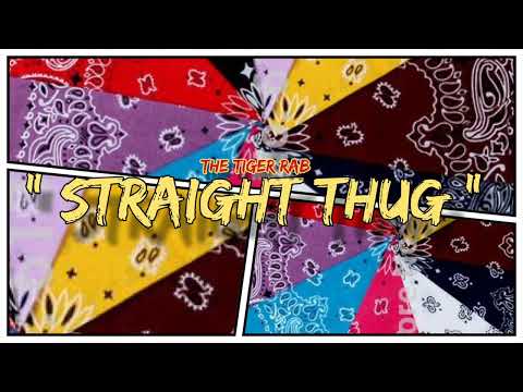 The Tiger RaB- Straight Thug (Visualizer)