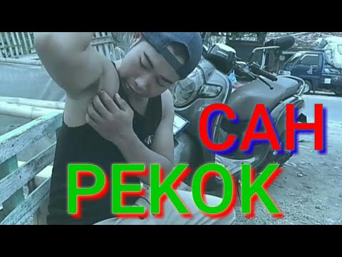 dagelan ngakak KUMPULAN VIDEO PEKOK