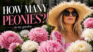 I Tried Counting My Peonies During a Heatwave... and Lost Count 🌸