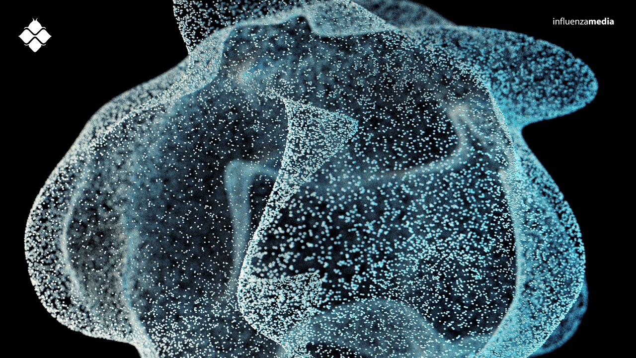 Alpha Rhythm - From the Ashes