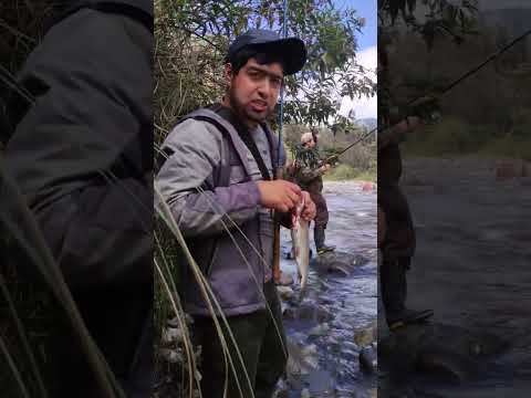 pesca de truchas en el río puela #penipe #chimborazo