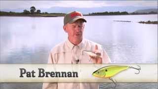 Rapala glidin rap
