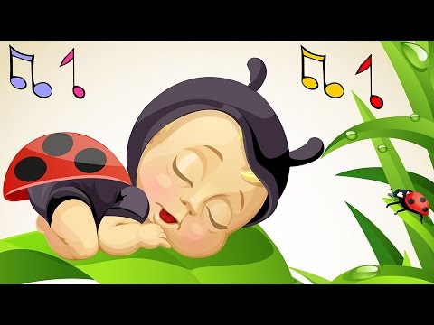 Berceuse pour Bébé et Bruits de la Nature