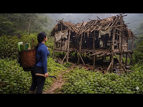 The surviving woman was utterly astonished when she saw her old home.