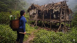 The surviving woman was utterly astonished when she saw her old home.