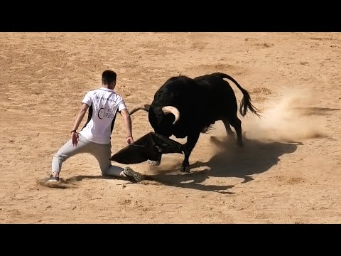 Peñafiel 2023 Toros de Mayo
