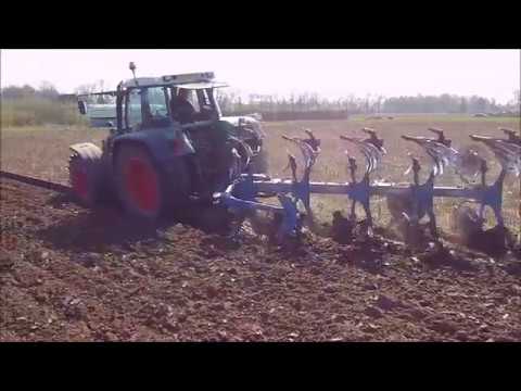 DSV zaden │TerraLife verbetert de bodemstructuur