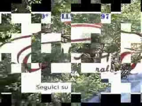 Riccardo Lopes 40° Rally Team 971 Fiat Punto S1600 By Lps Competition