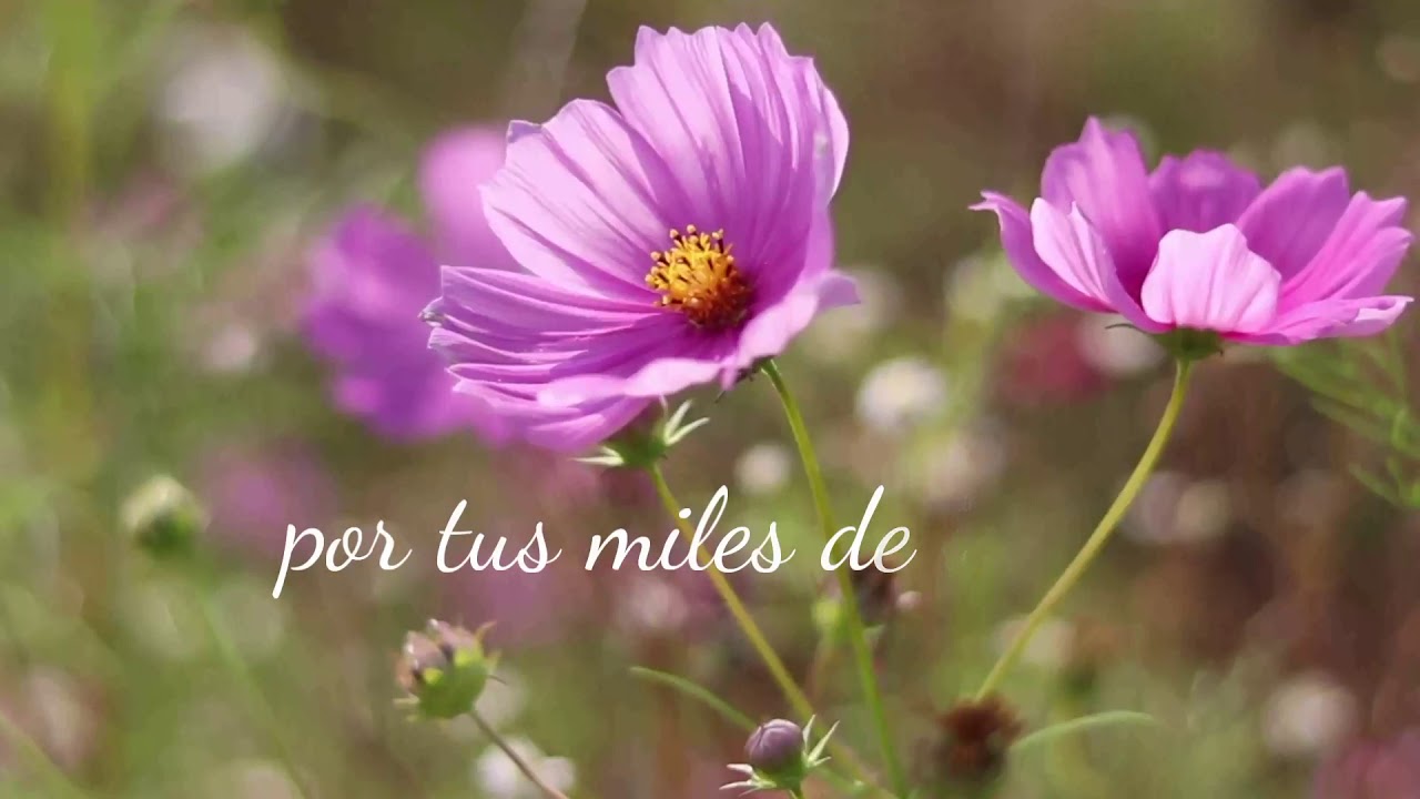 ¡Felicidades abuela!