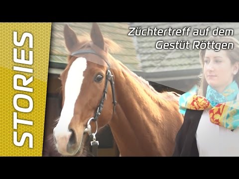 Züchtertreff auf dem Gestüt Röttgen