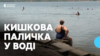 Купальный сезон в Николаеве: в воде обнаружили холероподобный вибрион