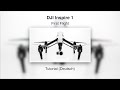 DJI Inspire 1 #08 - First Flight (English) 