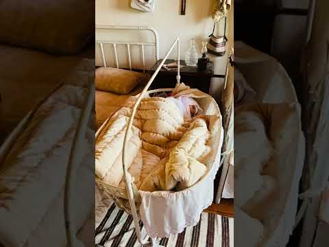 Çanakkale 1915 Hilali Ahmer Hastanesi Canlandırma Alanı