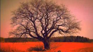 Puppet Master vs Days Of The New&#39;s - Never Drown