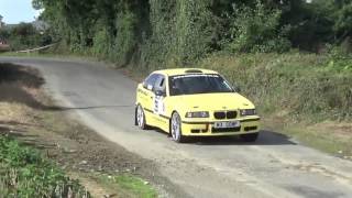 Wexford VW Stages Rally 2016 (Joe Leslie Rally Videos)