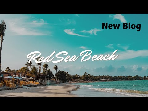 EXPLORE RED SEA WITH SHAKIB KAZI || VERY BEAUTIFUL PLACE OF RED SEA