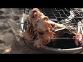 Avoid Fast Food And Street Fast Food In Asian 2018 IMG 0033