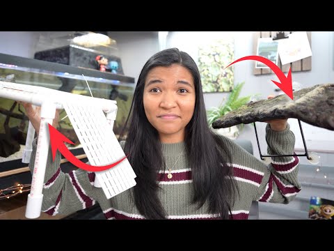 Above Tank Basking Area vs Floating Basking Dock? | The best basking platform for turtles