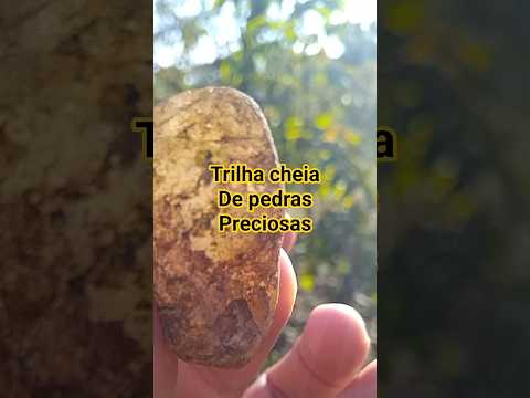 Só em Minas Gerais tem uma trilha como essa: cristais e sinais de ouro