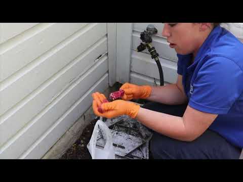 Frantz Has Been a Loyal Cowleys Customer for Almost a Decade!