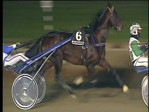 Trotto 29/12/2017 5ª corsa