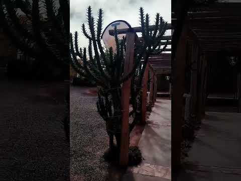 Con amabilidad nos introducen en la historia del caudillo Varela en Guandacol, la Rioja, Argentina