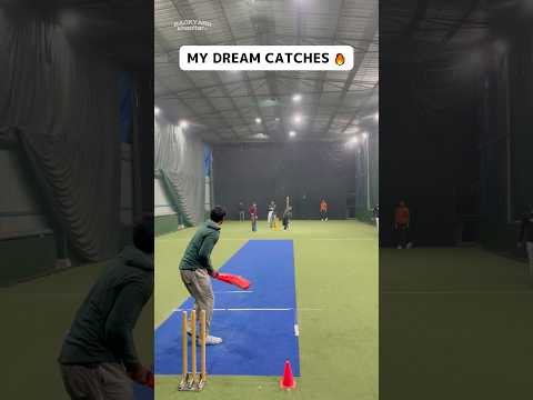 Dream Catches 🤯 Cricket Fielding Taking Mind Blowing Catches of Batsman 🔥 #cricket #shorts #catch