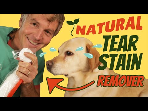 How To Naturally Treat Dog Tear Staining
