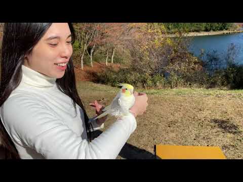 На съёмках "Что такое осень" Ichigo Tanuki