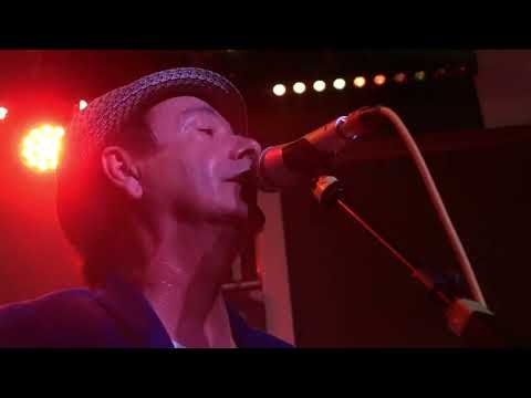 The Woodentops - Everything Breaks - Supersonic Records - 07/10/2025