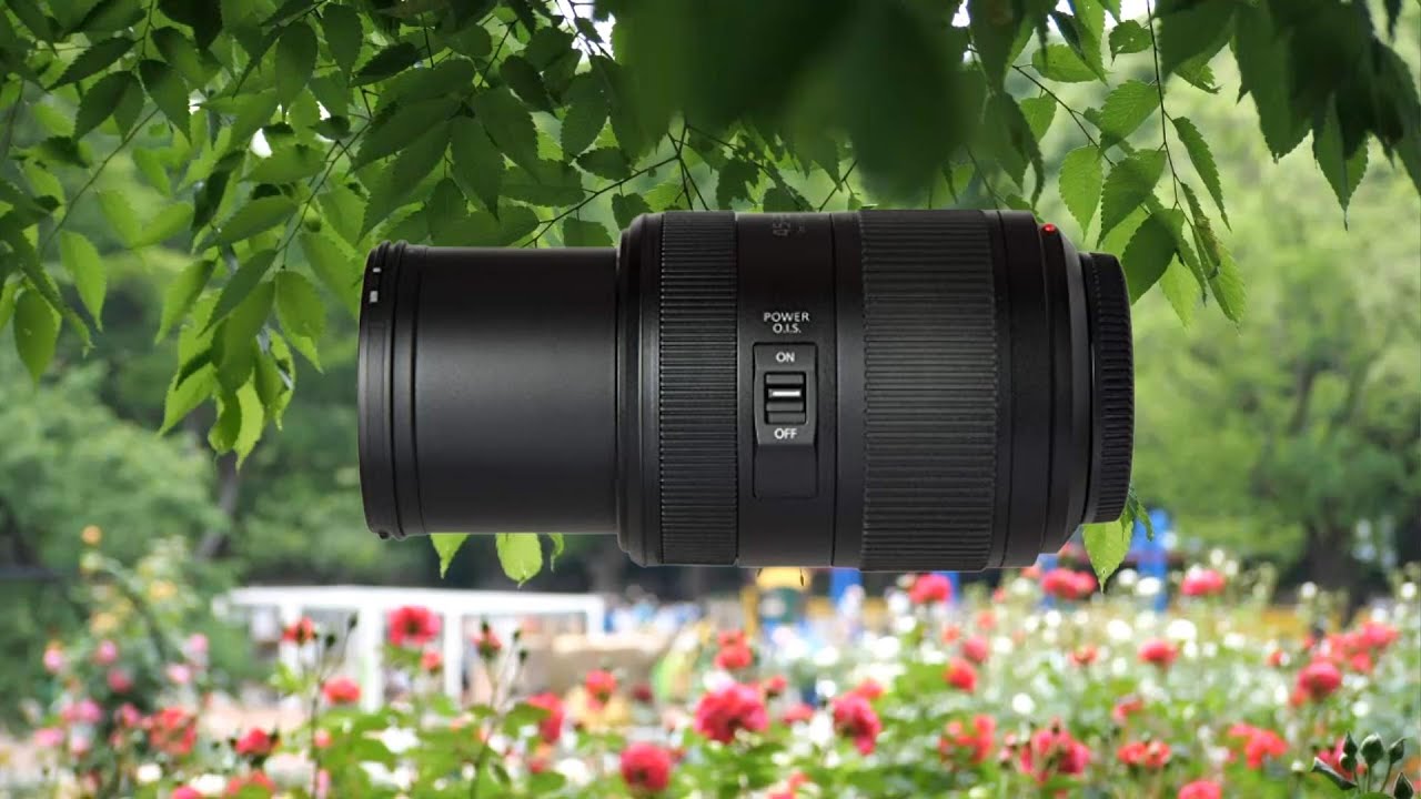 LUMIXレンズ１本で撮る砧公園のバラ園 マイクロフォーサーズ Lumix G Vario 45-200mm f/4-5.6 II POWER O.I.S.