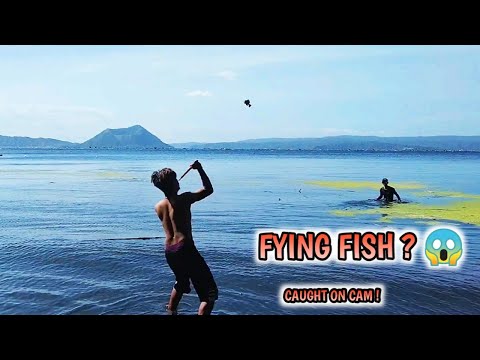 First sisid ng 2022 bokya agad😅😅#spearfishing #taallake #batangueñongmaninisid