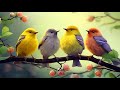 Instantly reduces stress and anxiety, Birds singing in the forest, Deep healing music for the body