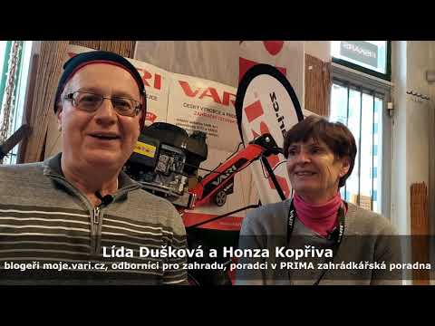 , title : 'Blogeři moje.vari.cz přejí krásné Vánoce!'
