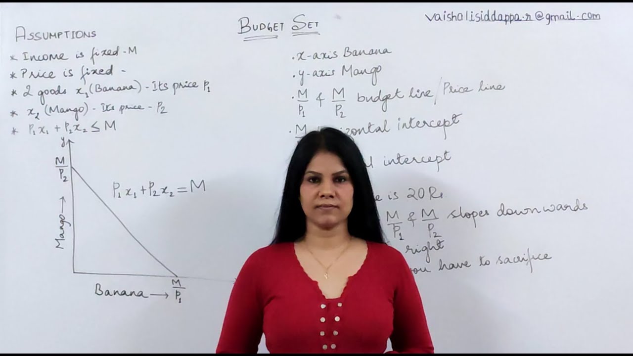 NCERT Class 12 | Chapter 2 - Budget Set | Q&A | #17