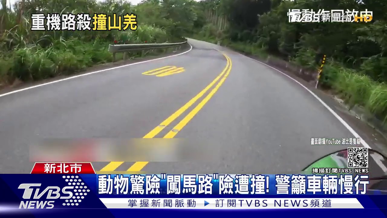 嚇！北宜公路「山羌」竄馬路　騎士撞上摔車