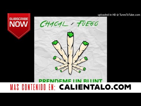El Chacal ft. Fuego - Prendeme Un Blunt | Reggaeton 2019