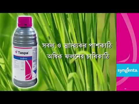 Syngenta - Taspa