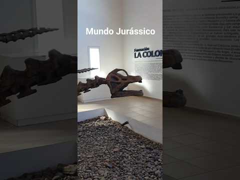 Museu Paleontológico, com fósseis de dinossauros!! Roadtrip pela Argentina #2024 #jurassicworld