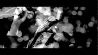 Daniel Martin Moore :: Wendy Bird