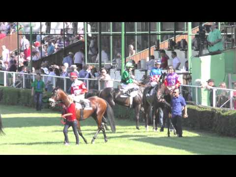 Turf-gala: Romanetta víťazkou Ceny Arvy, Lord Patrick nečakaným víťazom šprintu roka