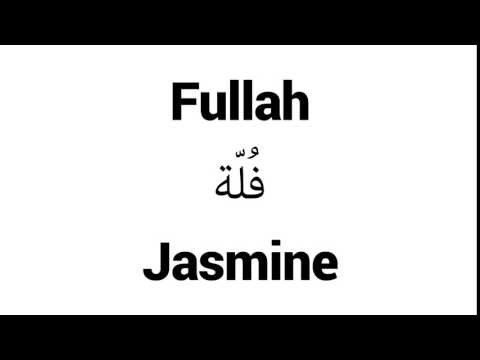 How to Pronounce Fullah! - Middle Eastern Names