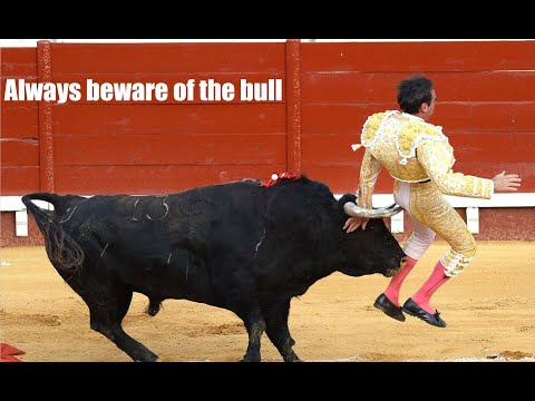 TMT 74 Beware of the Bull
