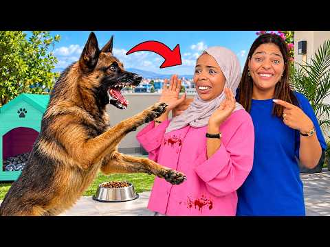 للاسف..الكلب المالينوا هجم على اختي 😢وخا صرفات عليه 1.000 دولار🤑 (فيوم ملكي ❤️)